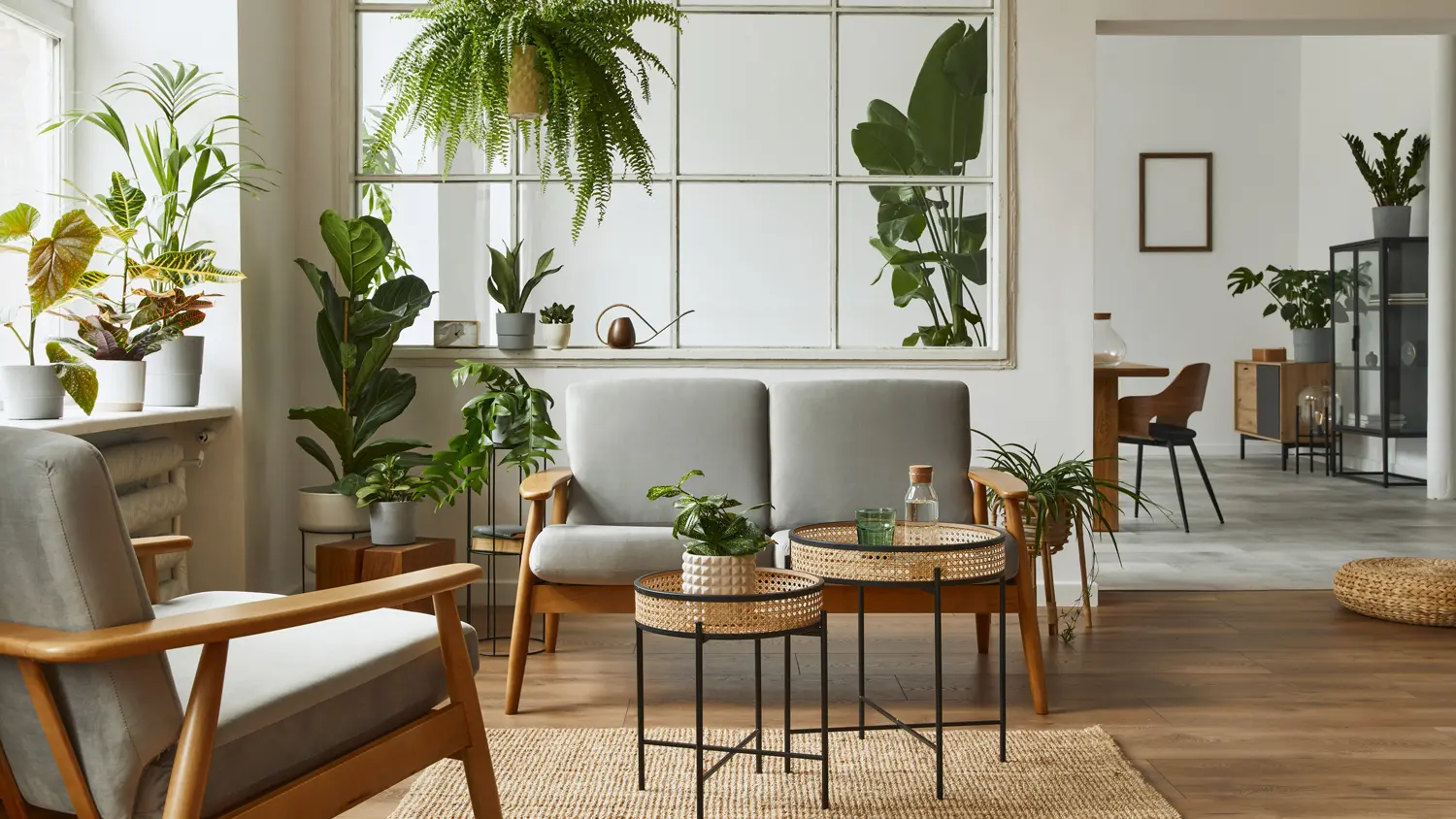 Wellness-focused living space with plants